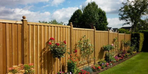 Fencing-scaled