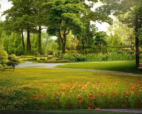 beautiful_garden_view_green_trees_plants_bushes_grass_colorful_flowers_field_hd_nature